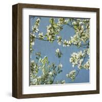 May Fourth-Donna Geissler-Framed Giclee Print