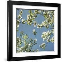 May Fourth-Donna Geissler-Framed Giclee Print