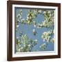 May Fourth-Donna Geissler-Framed Giclee Print