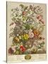 May, from 'twelve Months of Flowers' by Robert Furber (C.1674-1756) Engraved by Henry Fletcher-Pieter Casteels-Stretched Canvas