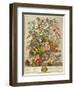 May, from 'twelve Months of Flowers' by Robert Furber (C.1674-1756) Engraved by Henry Fletcher-Pieter Casteels-Framed Giclee Print