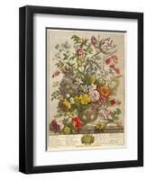 May, from 'twelve Months of Flowers' by Robert Furber (C.1674-1756) Engraved by Henry Fletcher-Pieter Casteels-Framed Giclee Print