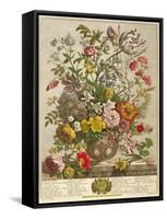 May, from 'twelve Months of Flowers' by Robert Furber (C.1674-1756) Engraved by Henry Fletcher-Pieter Casteels-Framed Stretched Canvas