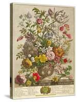 May, from 'twelve Months of Flowers' by Robert Furber (C.1674-1756) Engraved by Henry Fletcher-Pieter Casteels-Stretched Canvas