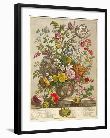 May, from 'twelve Months of Flowers' by Robert Furber (C.1674-1756) Engraved by Henry Fletcher-Pieter Casteels-Framed Giclee Print