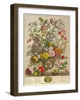 May, from 'twelve Months of Flowers' by Robert Furber (C.1674-1756) Engraved by Henry Fletcher-Pieter Casteels-Framed Giclee Print