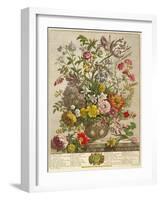 May, from 'twelve Months of Flowers' by Robert Furber (C.1674-1756) Engraved by Henry Fletcher-Pieter Casteels-Framed Giclee Print