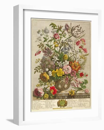 May, from 'twelve Months of Flowers' by Robert Furber (C.1674-1756) Engraved by Henry Fletcher-Pieter Casteels-Framed Giclee Print