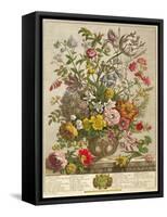 May, from 'twelve Months of Flowers' by Robert Furber (C.1674-1756) Engraved by Henry Fletcher-Pieter Casteels-Framed Stretched Canvas