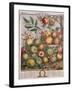 May, from 'Twelve Months of Fruits'-Pieter Casteels-Framed Giclee Print