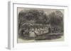 May Games at Wymering, Hampshire, the May Queen-null-Framed Giclee Print