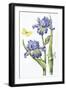 May Iris-Janneke Brinkman-Salentijn-Framed Giclee Print