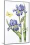 May Iris-Janneke Brinkman-Salentijn-Mounted Giclee Print