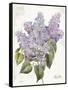 May Lilac on White-Katie Pertiet-Framed Stretched Canvas