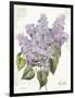 May Lilac on White-Katie Pertiet-Framed Art Print