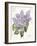 May Lilac on White-Katie Pertiet-Framed Art Print