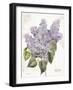 May Lilac on White-Katie Pertiet-Framed Art Print