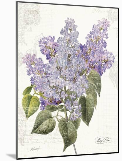 May Lilac on White-Katie Pertiet-Mounted Art Print