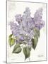 May Lilac on White-Katie Pertiet-Mounted Art Print