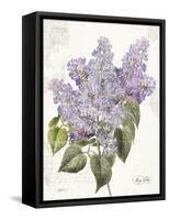 May Lilac on White-Katie Pertiet-Framed Stretched Canvas