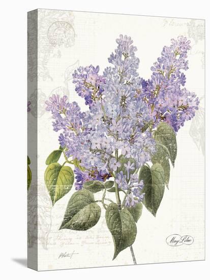 May Lilac on White-Katie Pertiet-Stretched Canvas