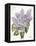 May Lilac on White-Katie Pertiet-Framed Stretched Canvas