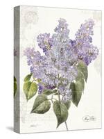 May Lilac on White-Katie Pertiet-Stretched Canvas