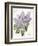 May Lilac on White-Katie Pertiet-Framed Art Print
