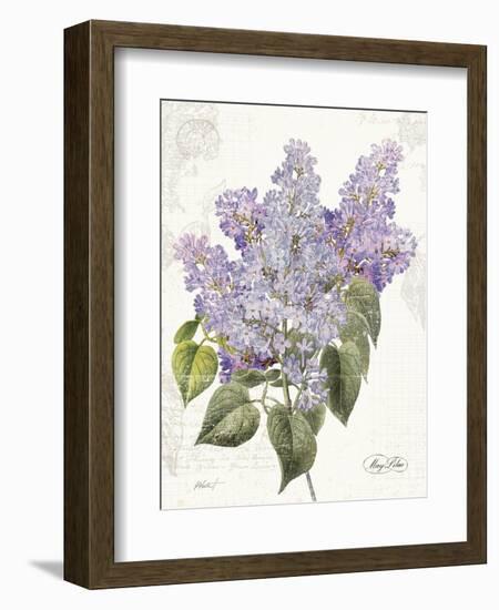 May Lilac on White-Katie Pertiet-Framed Art Print