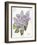 May Lilac on White-Katie Pertiet-Framed Art Print