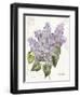 May Lilac on White-Katie Pertiet-Framed Art Print