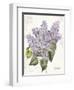 May Lilac on White-Katie Pertiet-Framed Art Print