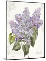 May Lilac on White-Katie Pertiet-Mounted Art Print