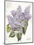 May Lilac on White-Katie Pertiet-Mounted Art Print