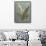 May Lily of the Valley Green-Danhui Nai-Framed Stretched Canvas displayed on a wall