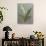 May Lily of the Valley Green-Danhui Nai-Stretched Canvas displayed on a wall