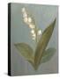 May Lily of the Valley Green-Danhui Nai-Stretched Canvas