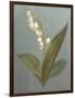 May Lily of the Valley Green-Danhui Nai-Framed Art Print