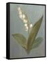 May Lily of the Valley Green-Danhui Nai-Framed Stretched Canvas