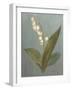 May Lily of the Valley Green-Danhui Nai-Framed Art Print