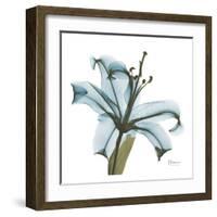 May Lily-Albert Koetsier-Framed Art Print