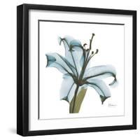 May Lily-Albert Koetsier-Framed Art Print