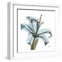 May Lily-Albert Koetsier-Framed Art Print