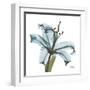 May Lily-Albert Koetsier-Framed Art Print