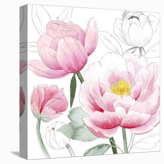 May Peonies I-Grace Popp-Stretched Canvas