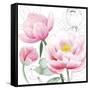 May Peonies I-Grace Popp-Framed Stretched Canvas
