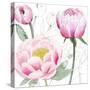 May Peonies II-Grace Popp-Stretched Canvas