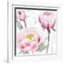 May Peonies II-Grace Popp-Framed Art Print