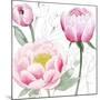 May Peonies II-Grace Popp-Mounted Art Print