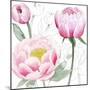 May Peonies II-Grace Popp-Mounted Art Print